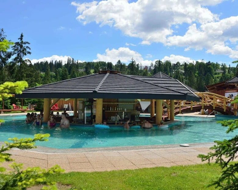 Thermal pool with bar