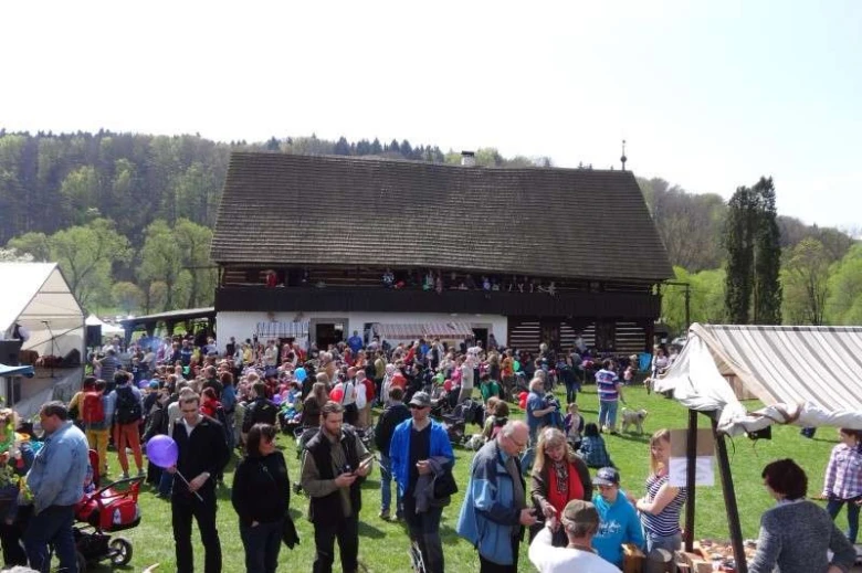 Crowd at outdoor event