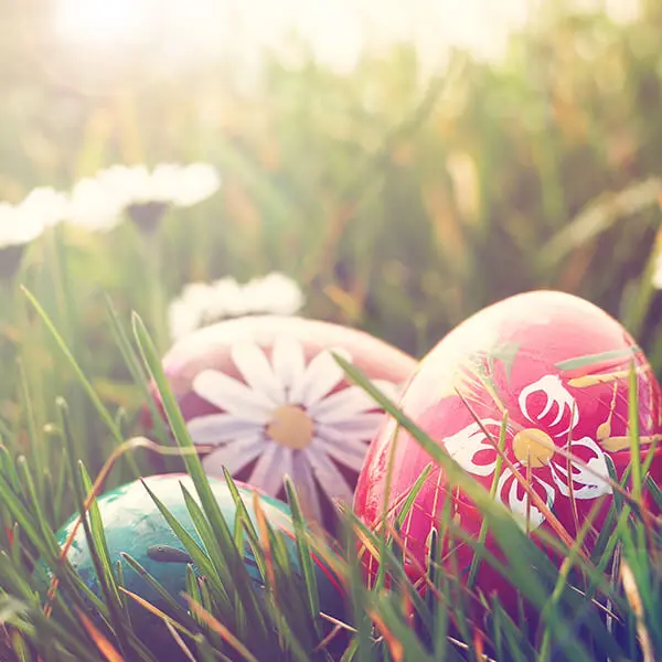Decorated easter eggs in grass