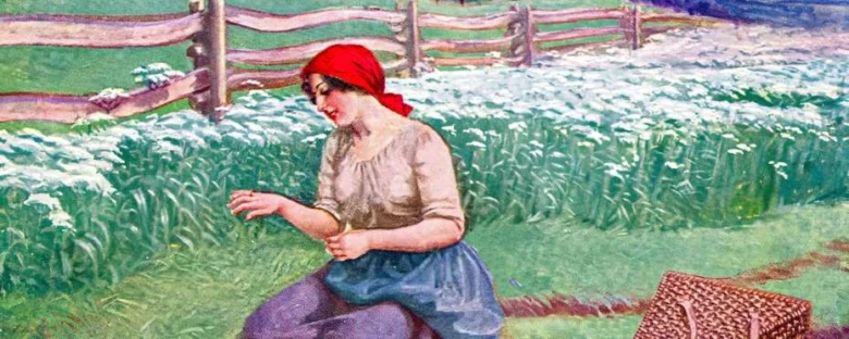 Žena v poli mezi kvetoucími bylinami u plotu.