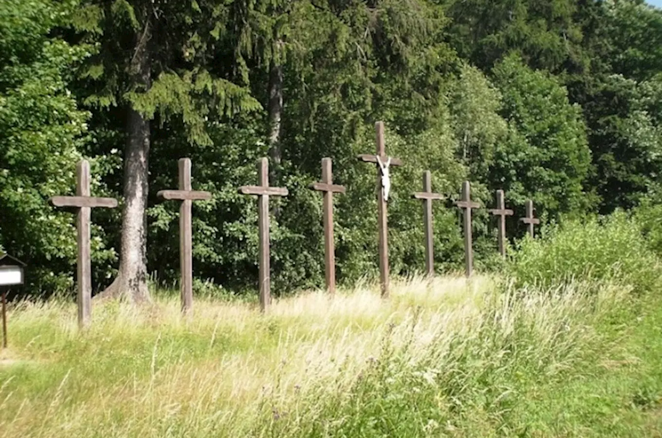 Devět dřevěných křížů na trávníku před lesním pozadím.