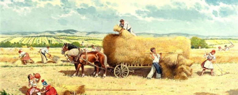 Harvesting hay with horses and people