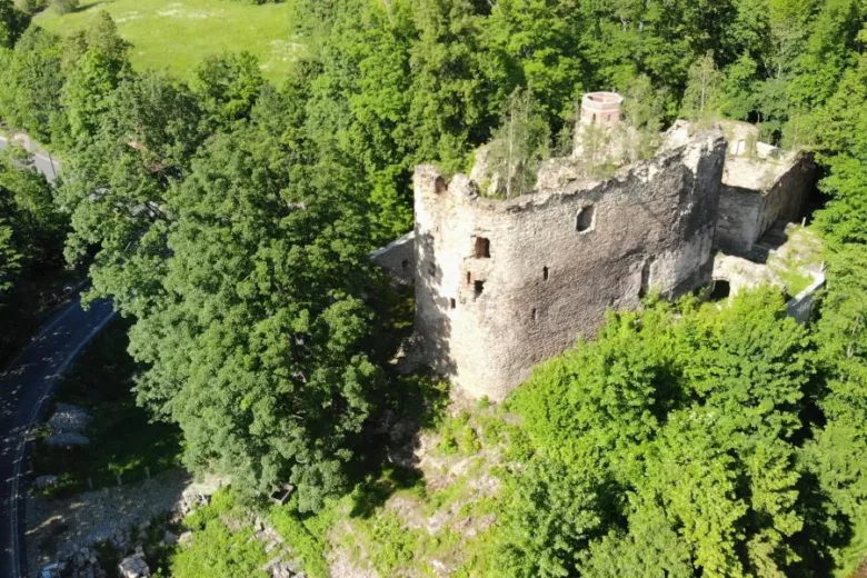 Ruiny hradu v lesích na kopci s okolní přírodou.