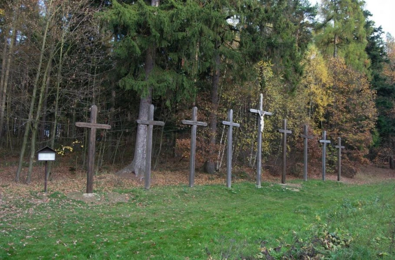 Devět dřevěných křížů v lese na travnatém svahu.