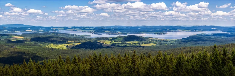 Pohled na jezero Lipno obklopené lesy pod modrou oblohou.