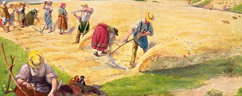 Tradiční sklizeň obilí lidmi v historických oděvech.