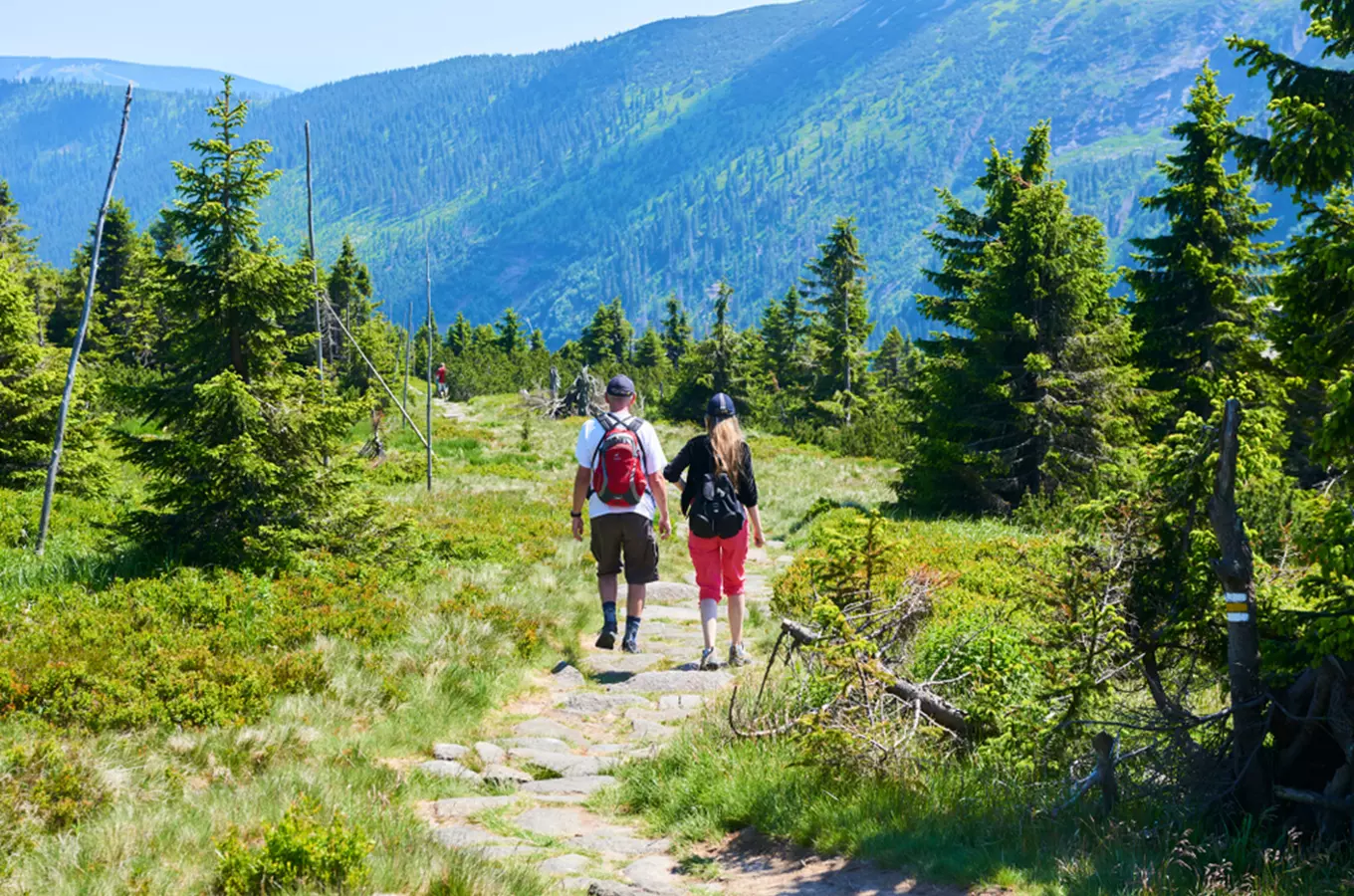 Dva turisté jdou po stezce v Krkonoších k horám.