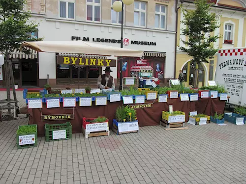 Stánek s bylinkami na venkovním trhu v Poděbradech.