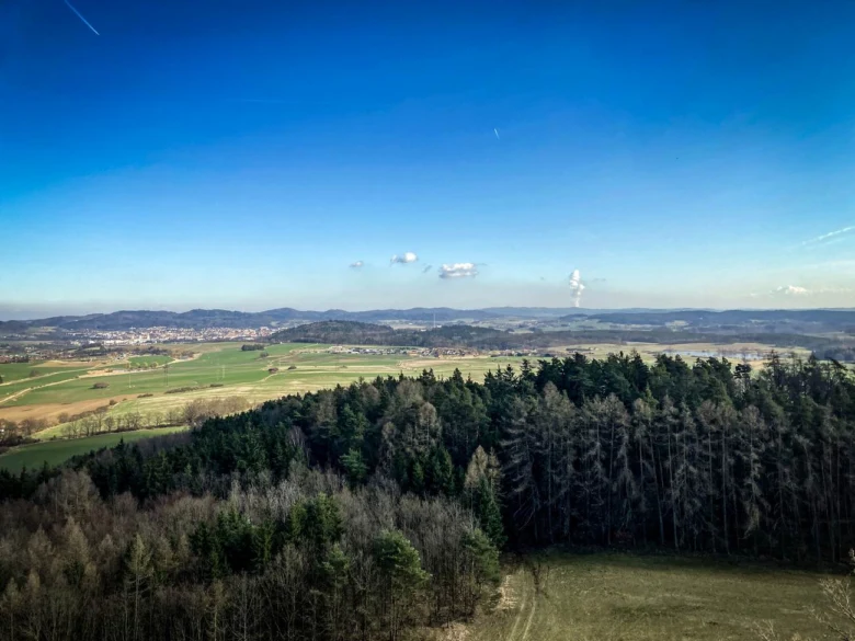Pohled na lesní porost s polnostmi v pozadí pod modrou oblohou