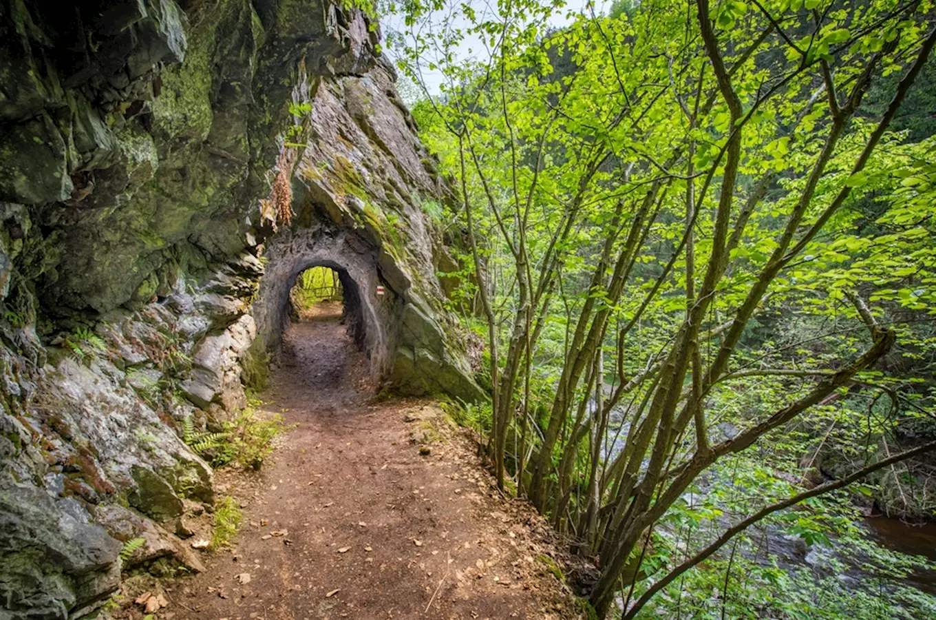 Zelená lesní cesta vedoucí skrze skalní tunel u vody.