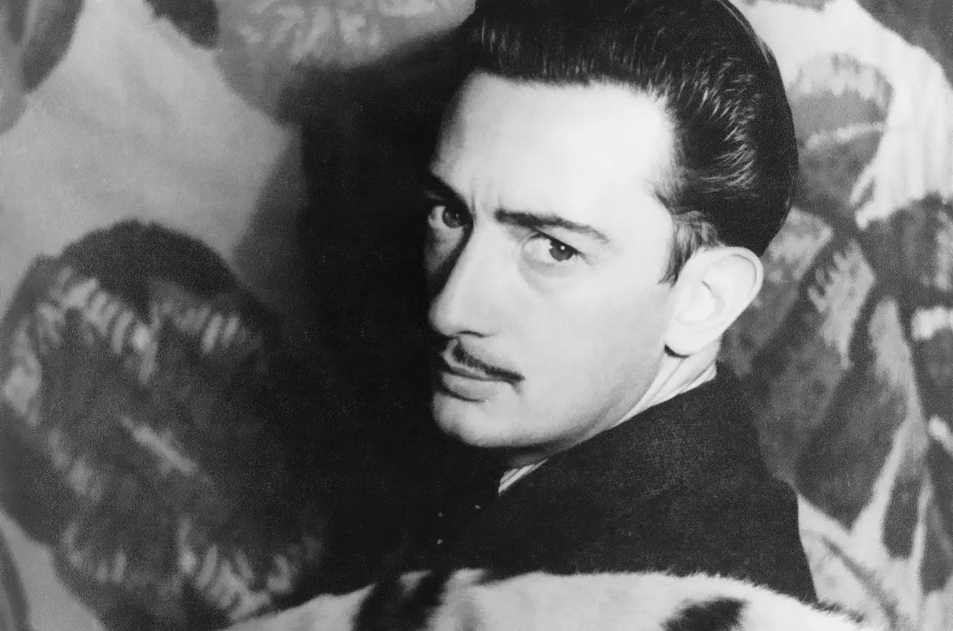 Salvador dalí portrait