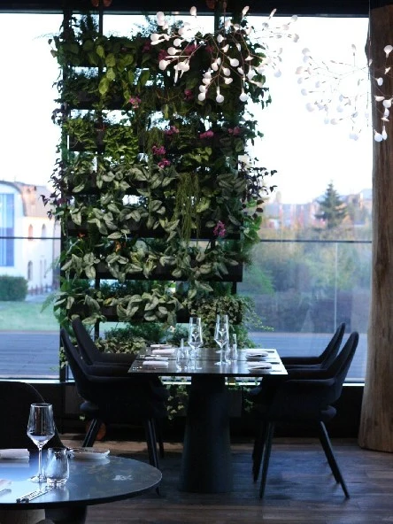 Interiér restaurace s zelenou stěnou u okna.
