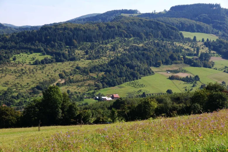 Zelené kopce s lesy a farmami v Bílých Karpatech.
