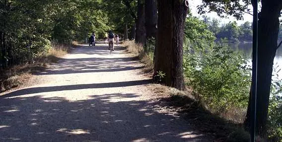 Cesta podél řeky s cyklisty v Třeboni