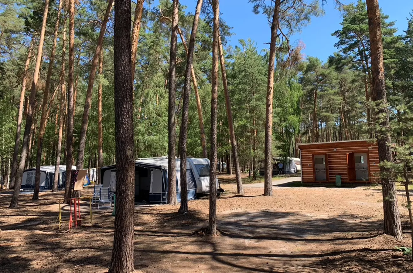 Forest campground with caravans and cabin