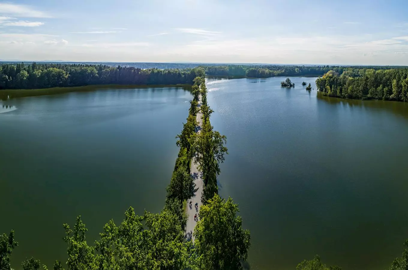 Letní cesta v krajině Trebon s lesy kolem vody.