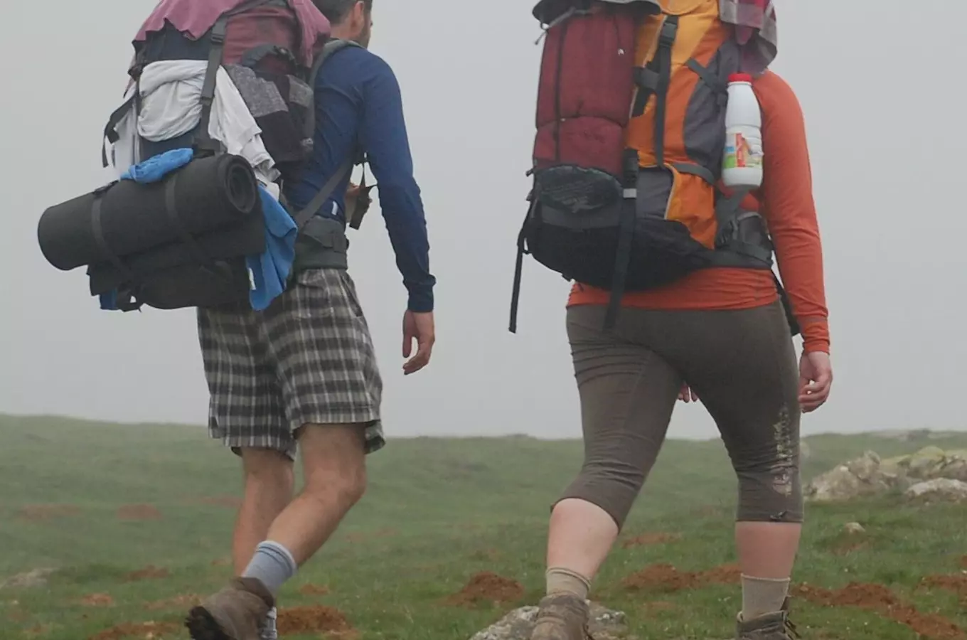 Hikers with backpacks on trail
