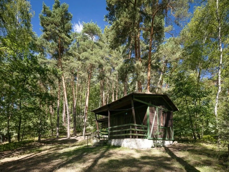 Dřevěný domek v lese u kempu na Máchově jezeře.