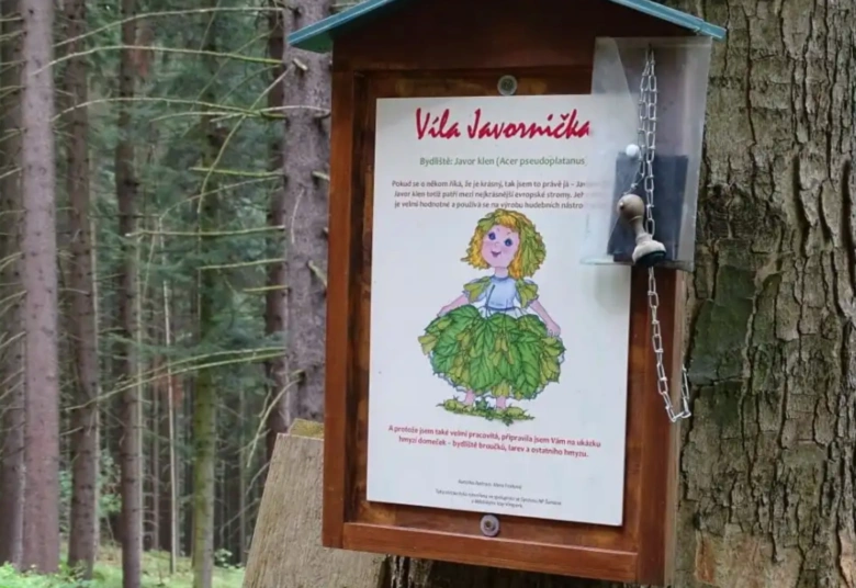 Vzdělávací tabule s ilustrací víly v lese pro děti.