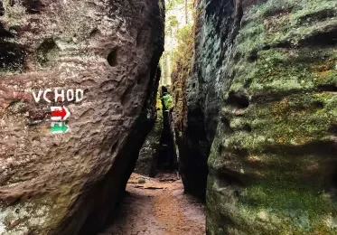 Úzká lesní cesta mezi velkými skály v Toulovcových maštalích.