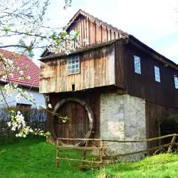 Tradiční dřevěný mlýn v Jihočeském kraji na pozadí zelené trávy.