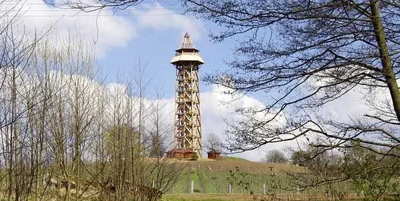 Věž na kopci ve Zruči nad Sázavou s okolním lesím.