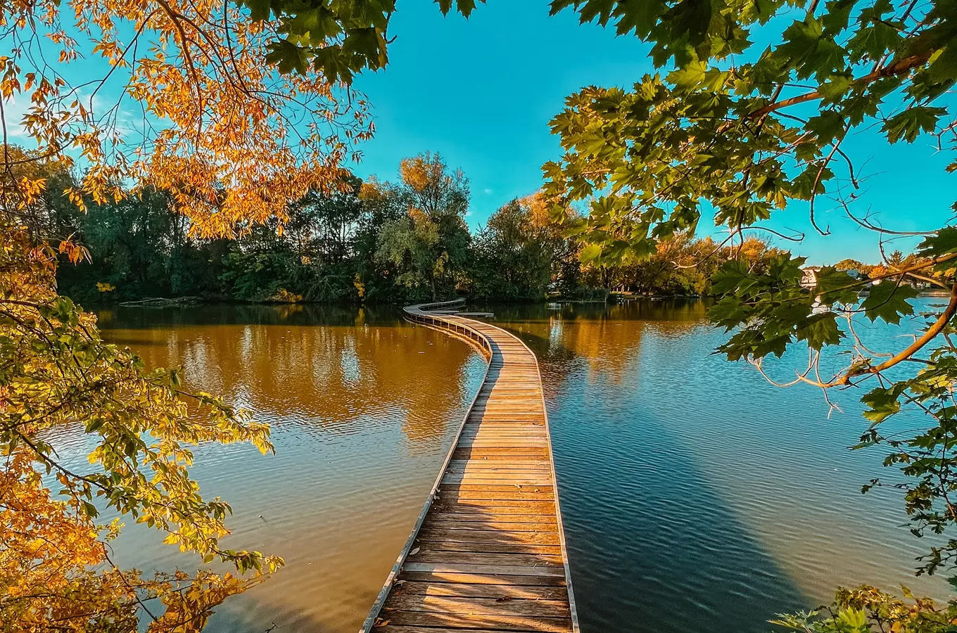 Dřevěný chodník přes jezero s podzimními stromy.