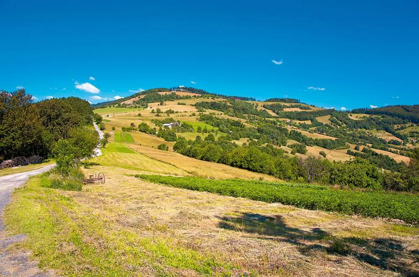 Rolling hills and fields