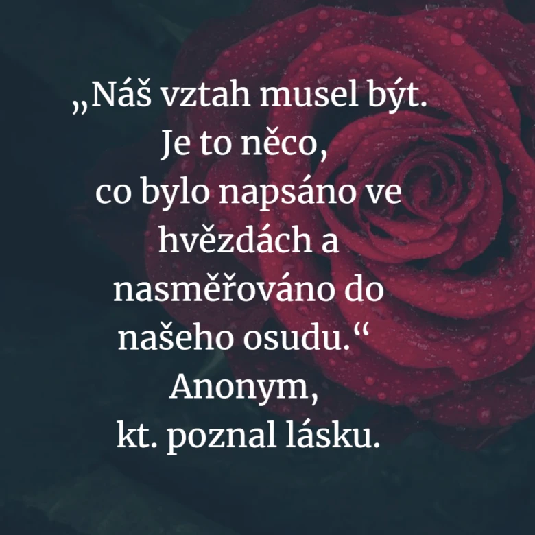 Červená růže s kapkami vody a citát o lásce.