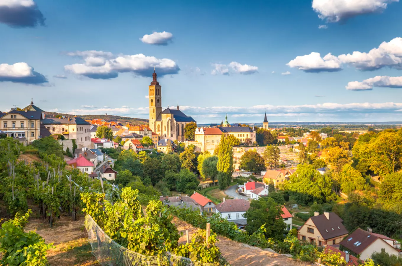 Pohled na město Kutná Hoře s kostelem a vinicemi.
