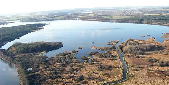 Pohled na jezero v krajině kolem Třeboní s mokřady.