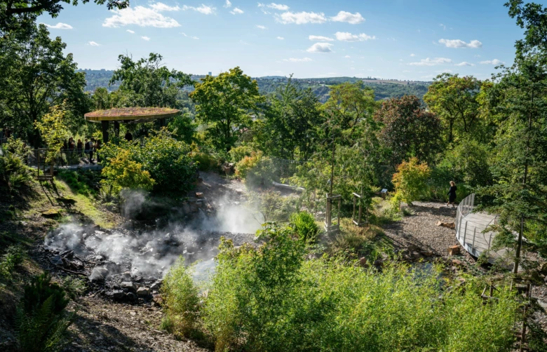 Green garden with steam