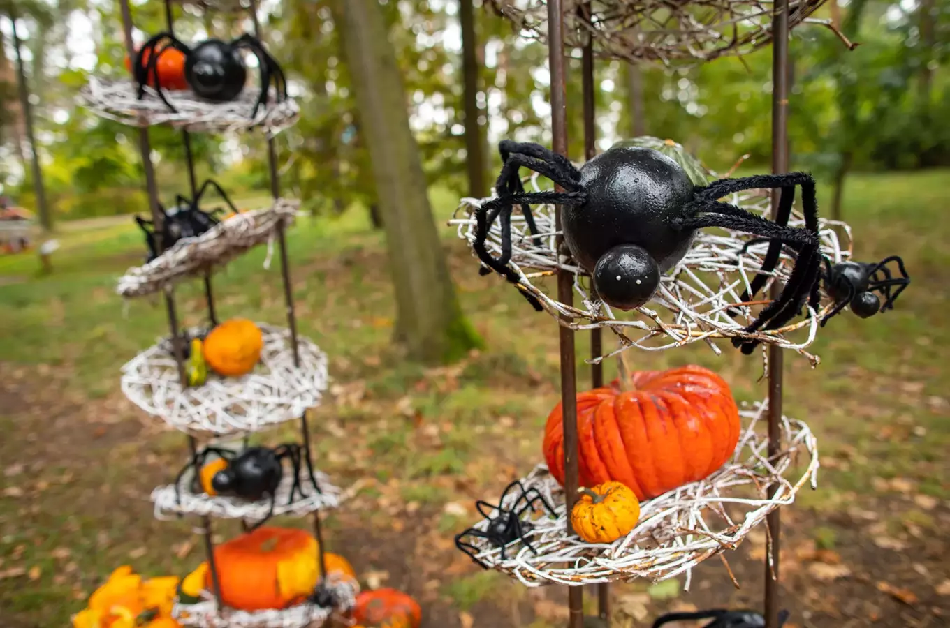 Halloweenské dekorace s pavouky a dýněmi v zahradě.