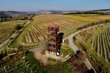 Dřevěná rozhledna v vinicích u Hustopč