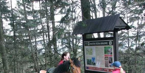 Hiking and horseback riding in forest