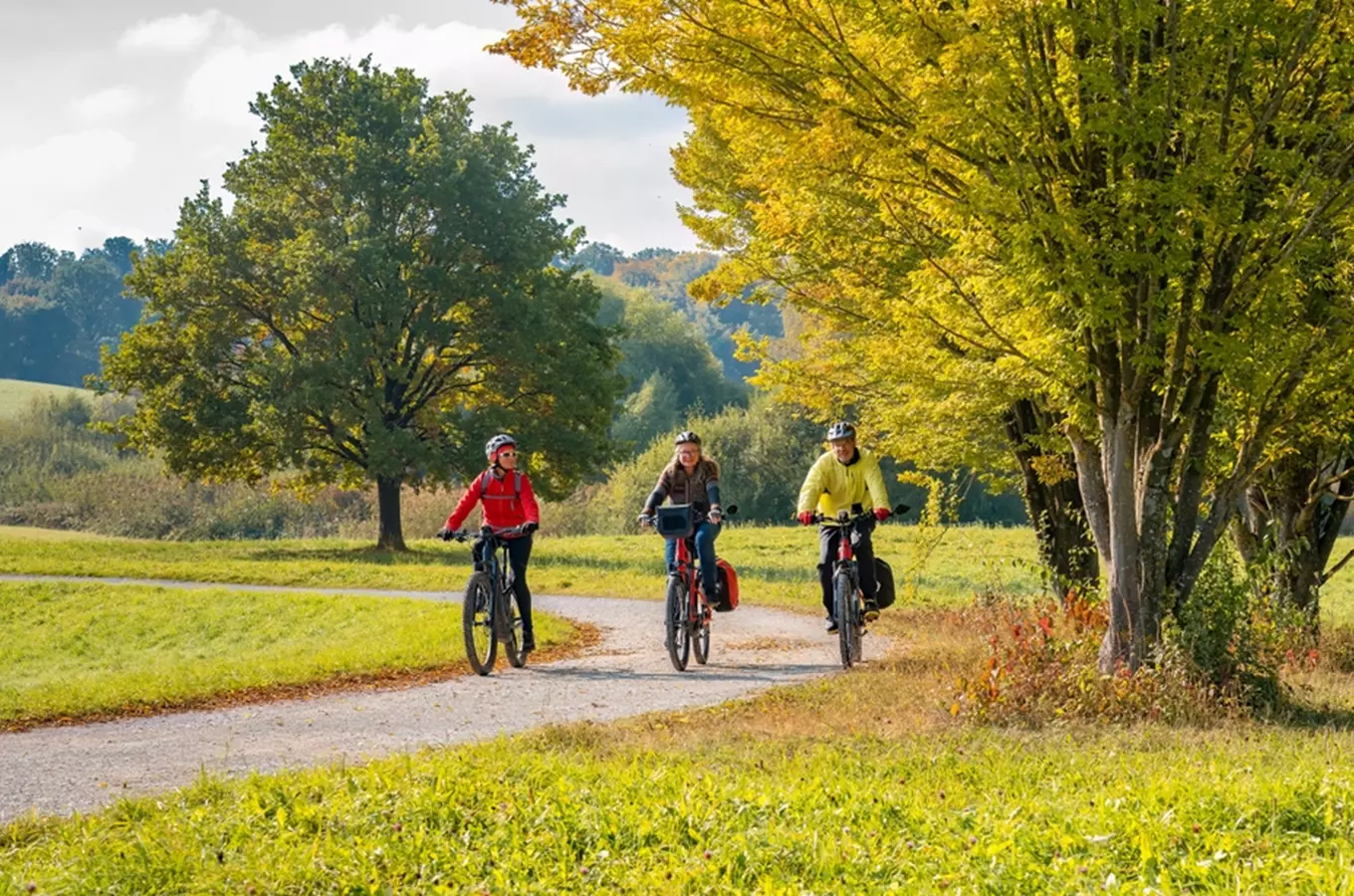 Tři cyklisté jedou po stezce v přírodě s lesy.
