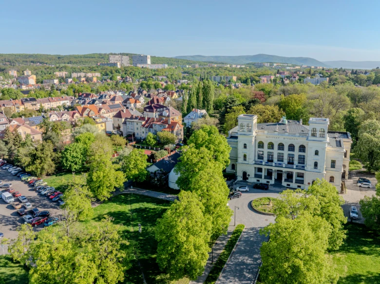 Historická budova v zeleném parku s domy na pozadí.