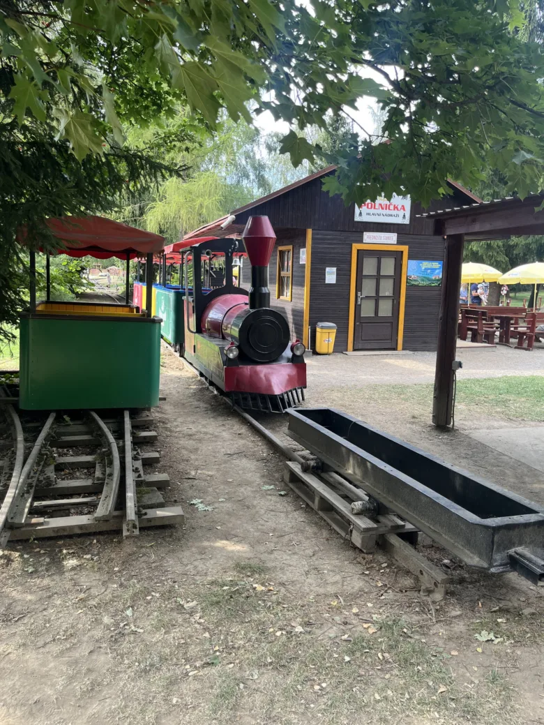 Malá parní lokomotiva s vagóny u dřevěné stanice v parku.