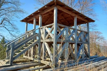 Dřevěná vyhlídková věž v lesu u Karlové Studánky.