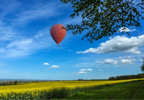 Červený vzducholod nad žlutým polem pod modrou oblohou.