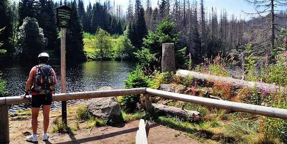 Turista na dřevěné terase u jezera v Železné Rudě