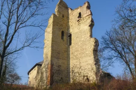 Zřícenina hradu v Mladé Boleslavi mezi holými stromy.