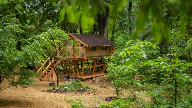 Dřevěný chatička na stromu v lesním prostředí pro glamping.