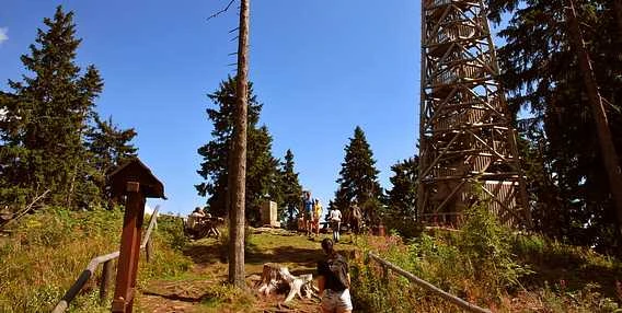 Dřevěná rozhledna v lesu s turisty na okraji Prachatic