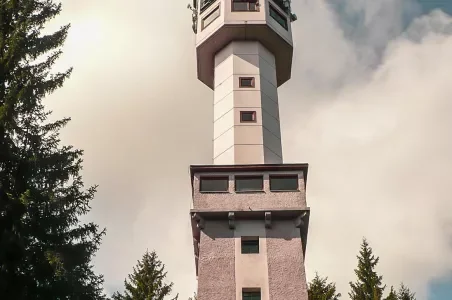 Věž na Kašperské hoře mezi stromy pod mraky.