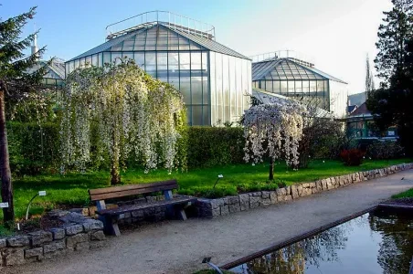 Skleník Botanické zahrady v Liberci s kvetoucími stromy