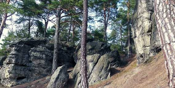 Skalní útvar v lese s borovicemi pro turisty v Doksech.